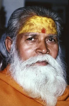 Swami Shantananda Saraswati